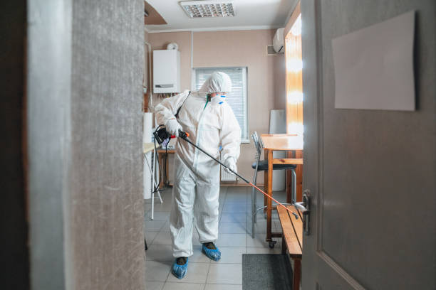 Best Dehumidification Services  in Bass Lake, IN