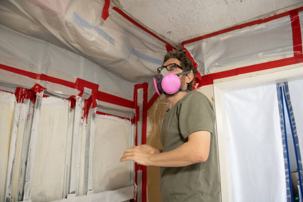 Best Mold Damage Restoration  in Bass Lake, IN
