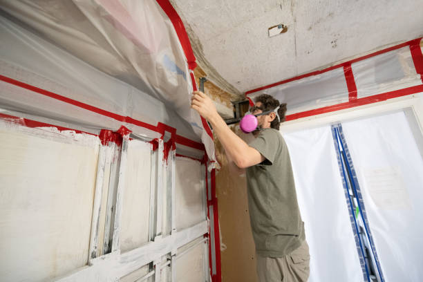 Best Water Damage & Mold Remediation  in Bass Lake, IN