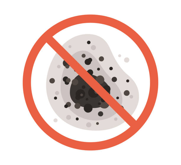 Best Air Quality Testing for Mold Spores  in Bass Lake, IN